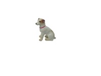 Parson Russel Terrier in Miniature