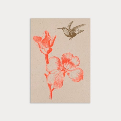 HungryPaper - Postkarte - Blume mit Kolibri - 100 Erntereststoffen der Landwirtschaft und 100