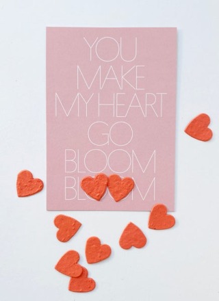 NIKO NIKO - Send & Grow card - YOU MAKE MY HEART GO BLOOM BLOOM - Karte mit Blumensamen