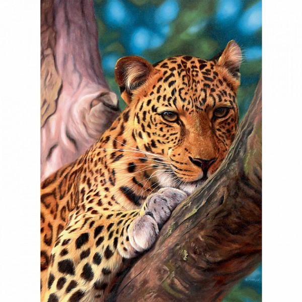 Diamond Painting Leopard, 30x40 cm