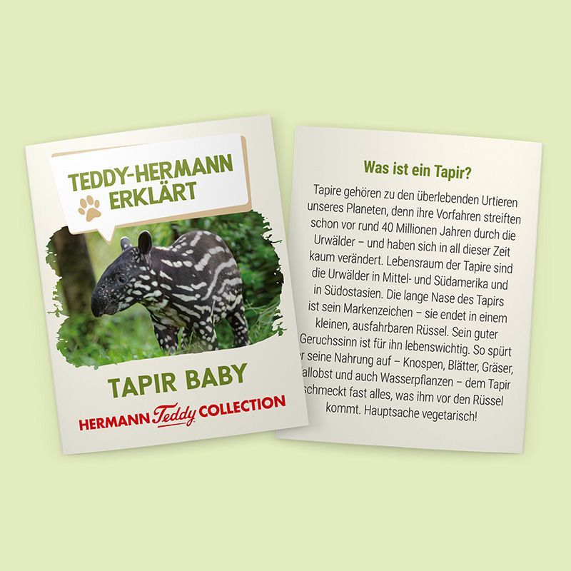 Tapir Baby 24cm