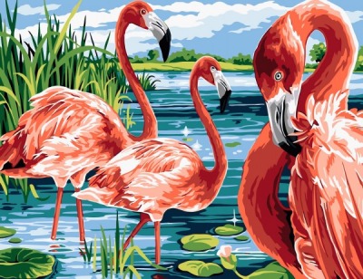 Malen nach Zahlen Flamingo, 50x40 cm