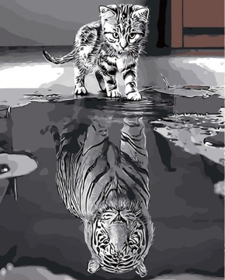 Malen nach Zahlen Katze und Tiger, 50x40 cm