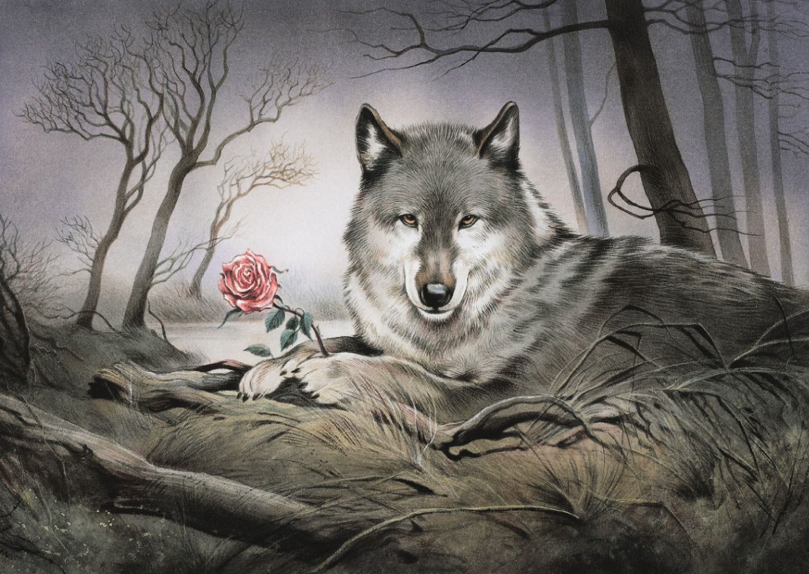 Postkarte A6 von inkognito Wolf und Rose Reinhard Michl