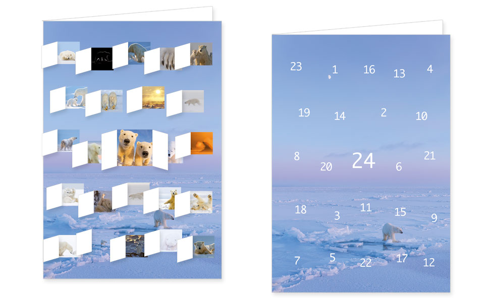 Adventskalenderkarte mit Umschlag und 24 Türchen von Rannenberg &amp; Friends Weihnachten Polarbären