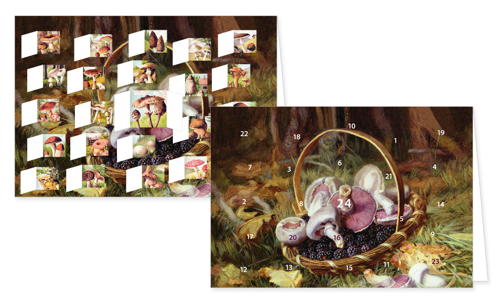 Adventskalenderkarte mit Umschlag und 24 Türchen von Rannenberg & Friends Weihnachten Pilze