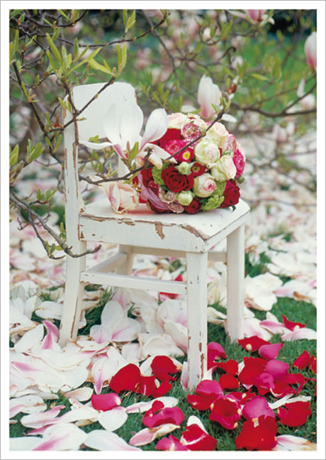 Postkarte Magnolienblütenmeer