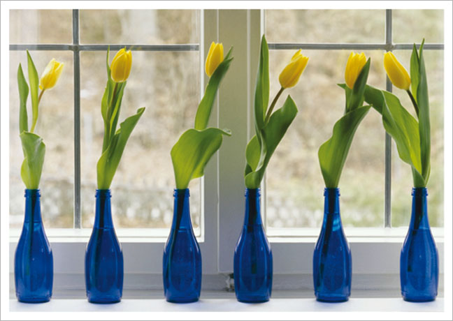 Postkarte Tulpen in blauen Flaschen