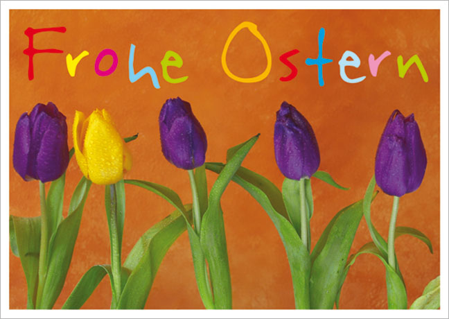 Postkarte Tulpenreihe Frohe Ostern
