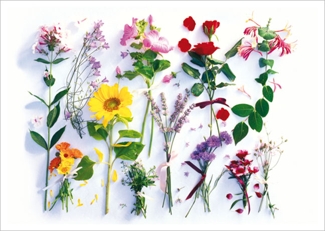 Postkarte Sommerblumen Sortiment