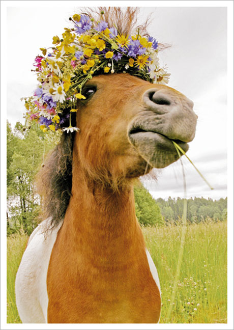 Postkarte Pferd mit Blütenkranz