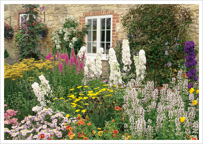 Postkarte Bauerngarten