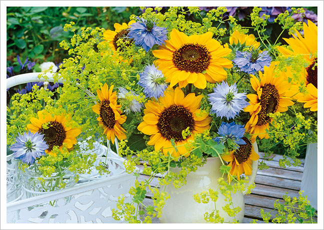 Postkarte Jungfern im Grünen mit Sonnenblumen