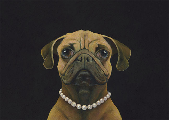 Postkarte Doggs - Bunte Hunde / Pugmalion