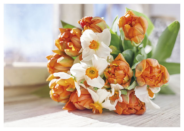 Postkarte Strauß Tulpen und Narzissen