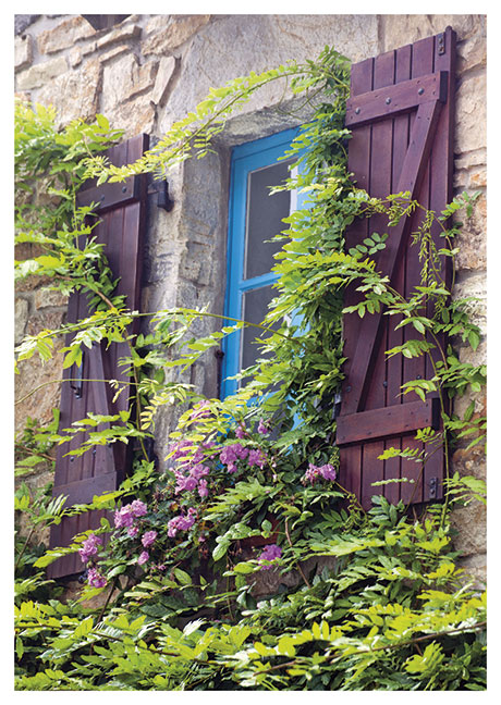 Postkarte Fenster mit Blumen und Rankpflanze