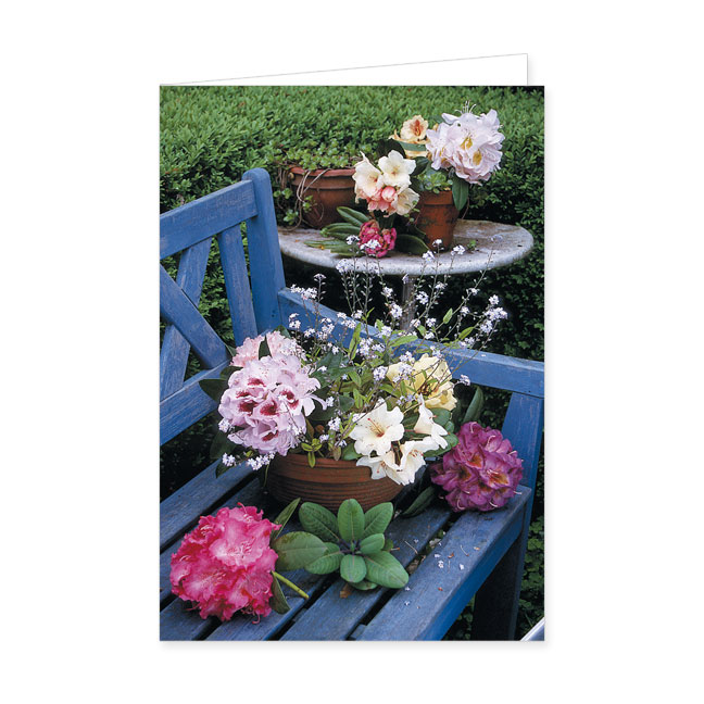 Doppelkarte Stilleben mit sieben verschiedenen Rhododendronblüten- Rannenberg &amp; Friends