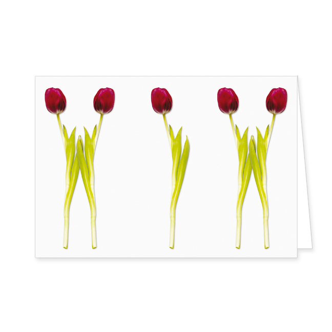 Doppelkarte Tulpenparade- Rannenberg & Friends