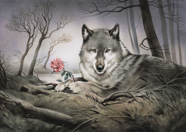 Postkarte A6 von inkognito Wolf und Rose Reinhard Michl - Postkarte A6 10,5 x 14,8 cm
