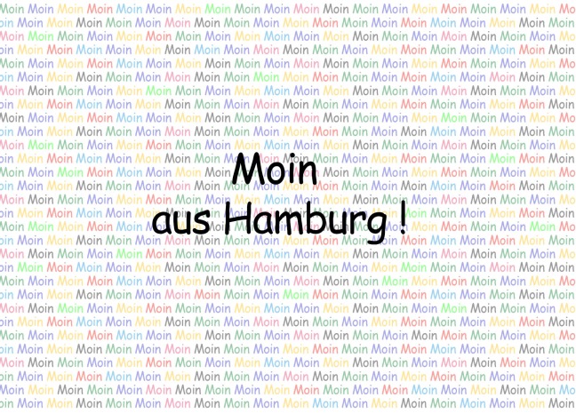 Postkarte Moin aus Hamburg - Postkarte A6 10,5 x 14,8 cm