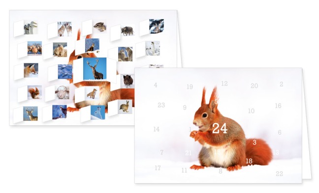 Adventskalenderkarte mit Umschlag und 24 Türchen von Rannenberg &amp; Friends Weihnachten Eichhörnchen