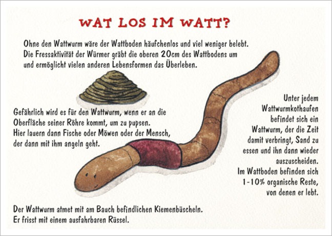 Postkarte Wat los im Watt - Postkarte A6 10,5 x 14,8 cm