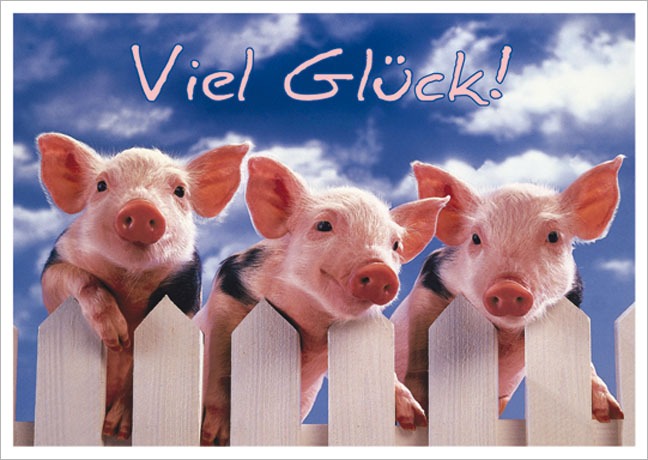 Postkarte Schweinchen zu dritt - Postkarte A6 105 x 148 cm