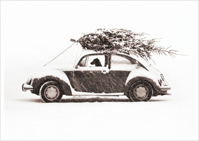 Postkarte Autofahrt mit Weihnachtsbaum - Postkarte A6 105 x 148 cm
