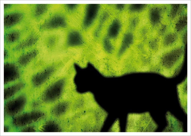 Postkarte Katzen Silhouette - Postkarte A6 105 x 148 cm
