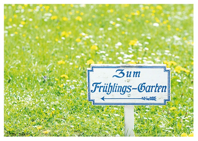 Postkarte Zum Frühlingsgarten - Postkarte A6 105 x 148 cm