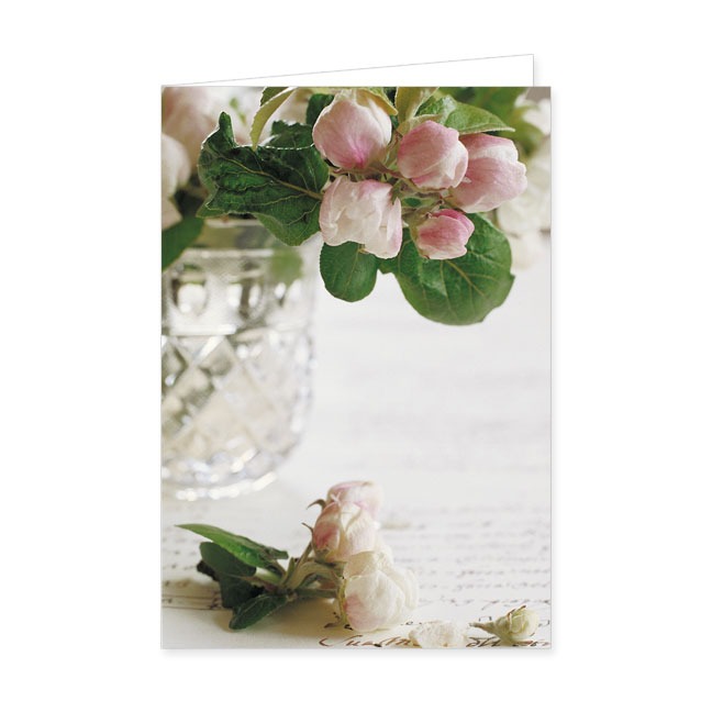 Doppelkarte Apfelblüten mit Brief- Rannenberg & Friends - Doppelkarte Klappkarte mit Umschlag