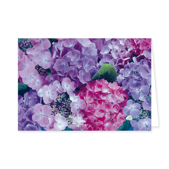 Doppelkarte Hortensienblüten- Rannenberg & Friends - Doppelkarte Klappkarte mit Umschlag Maße: