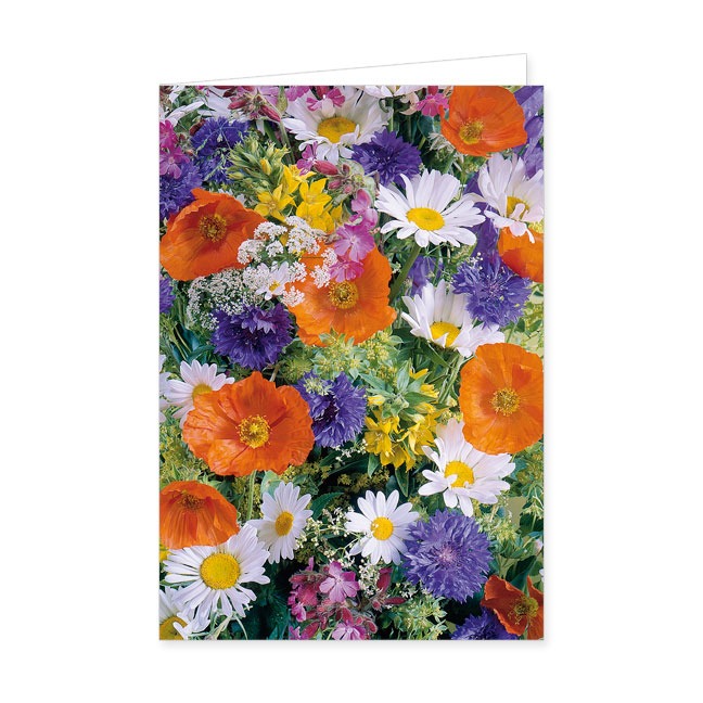 Doppelkarte Feldblumen- Rannenberg & Friends - Doppelkarte Klappkarte mit Umschlag Maße: 125 x