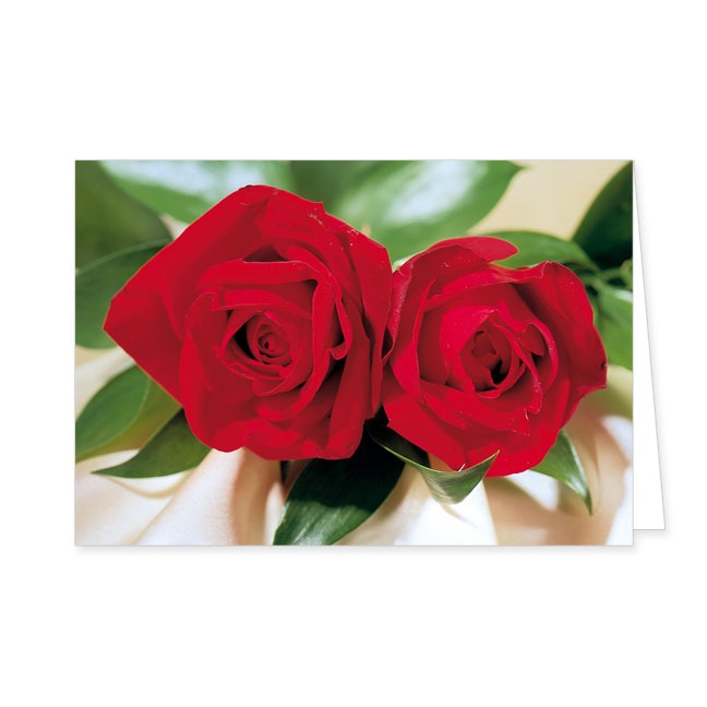 Doppelkarte Zwei rote Rosen- Rannenberg &amp; Friends - Doppelkarte Klappkarte mit Umschlag Maße: 125