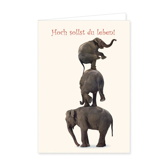 Doppelkarte Elefantenturm- Rannenberg & Friends - Doppelkarte Klappkarte mit Umschlag Maße: 125 x