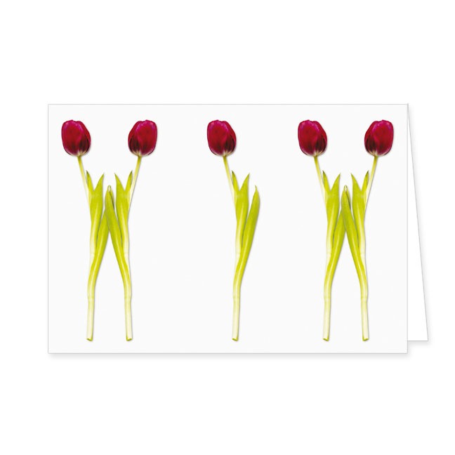 Doppelkarte Tulpenparade- Rannenberg & Friends - Doppelkarte Klappkarte mit Umschlag Maße: 125 x