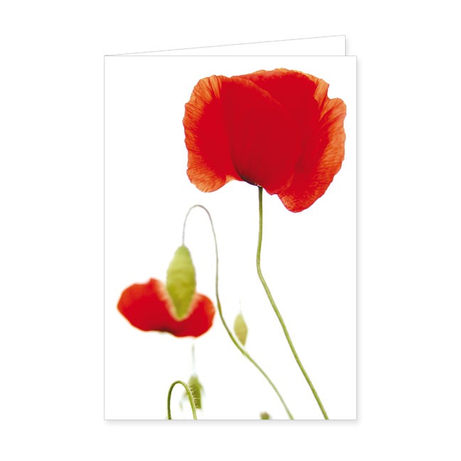 Doppelkarte Mohnblumen- Rannenberg & Friends - Doppelkarte Klappkarte mit Umschlag Maße: 125 x