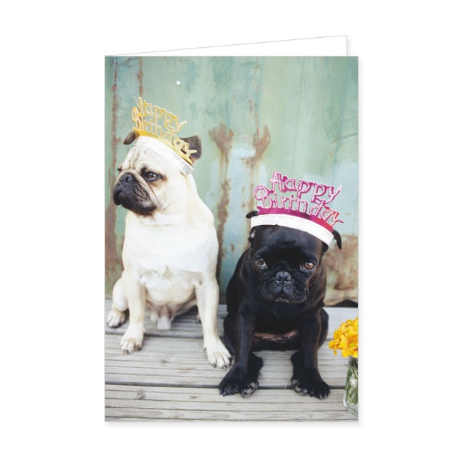 Doppelkarte Happy Birthday- Rannenberg & Friends - Doppelkarte Klappkarte mit Umschlag Maße: 125