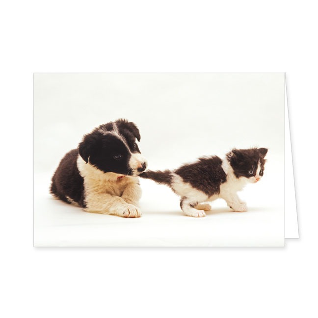 Doppelkarte Stopp- Rannenberg & Friends - Doppelkarte Klappkarte mit Umschlag Maße: 125 x 185 cm