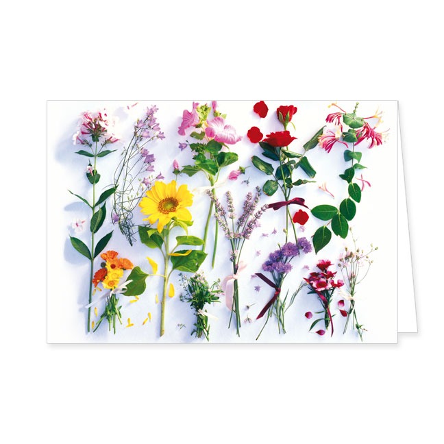 Doppelkarte Sommerblumen Sortiment- Rannenberg & Friends - Doppelkarte Klappkarte mit Umschlag