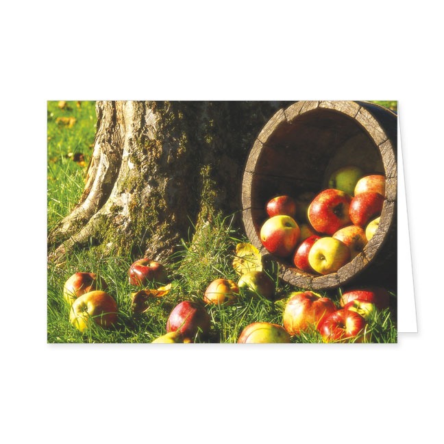 Doppelkarte Apfelernte- Rannenberg & Friends - Doppelkarte Klappkarte mit Umschlag Maße: 125 x