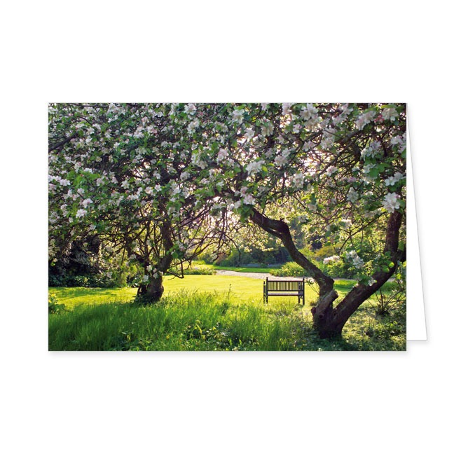 Doppelkarte Apfelblüte- Rannenberg &amp; Friends - Doppelkarte Klappkarte mit Umschlag Maße: 125 x