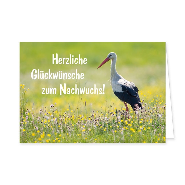 Doppelkarte Herzliche Glückwünsche zum Nachwuchs- Rannenberg & Friends - Doppelkarte Klappkarte