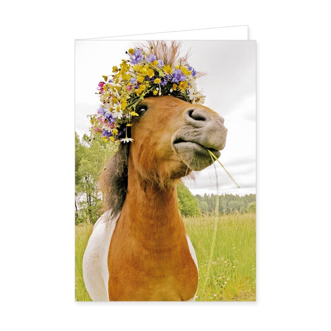 Doppelkarte Pferd mit Blütenkranz- Rannenberg & Friends - Doppelkarte Klappkarte mit Umschlag