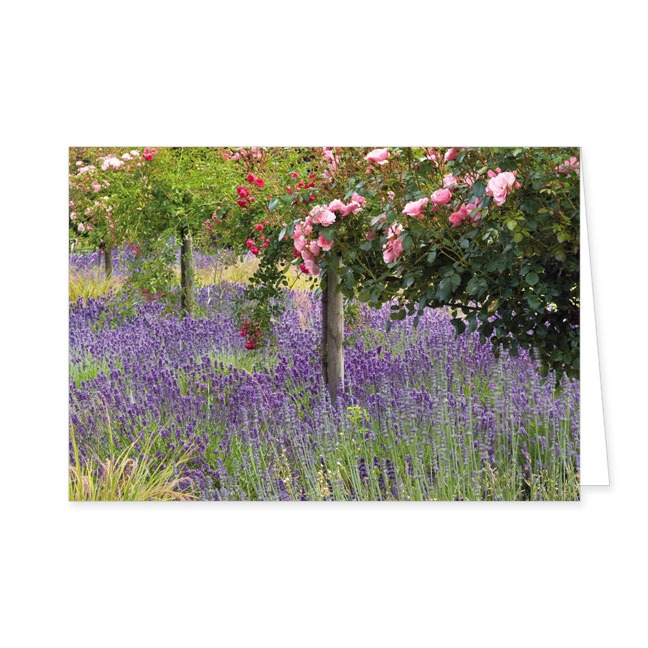 Doppelkarte Rosen und Lavendel- Rannenberg & Friends - Doppelkarte Klappkarte mit Umschlag Maße: