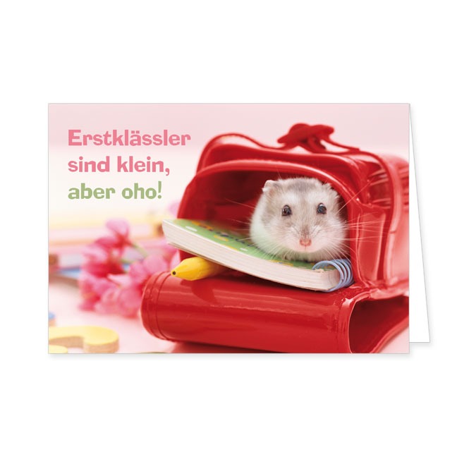 Doppelkarte Erstklässler- Rannenberg & Friends - Doppelkarte Klappkarte mit Umschlag Maße: 125 x