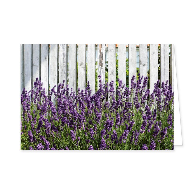 Doppelkarte Lavendel am Zaun- Rannenberg & Friends - Doppelkarte Klappkarte mit Umschlag Maße: