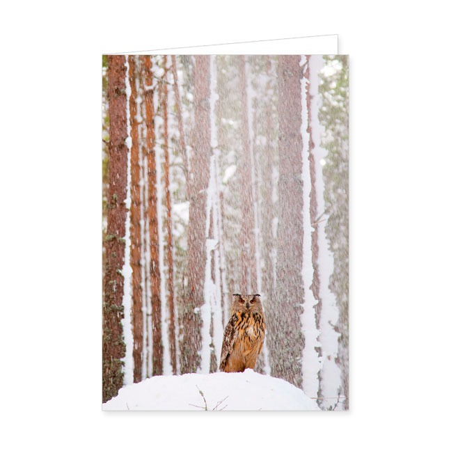 Doppelkarten Uhu im schneeverhangenem Wald- Rannenberg &amp; Friends - Doppelkarte Klappkarte mit