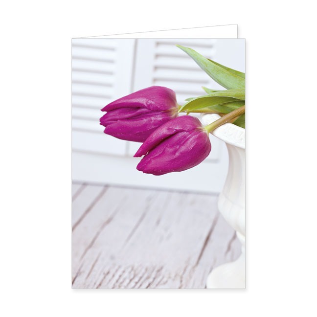 Doppelkarten Zwei pinke Tulpen- Rannenberg & Friends - Doppelkarte Klappkarte mit Umschlag Maße: