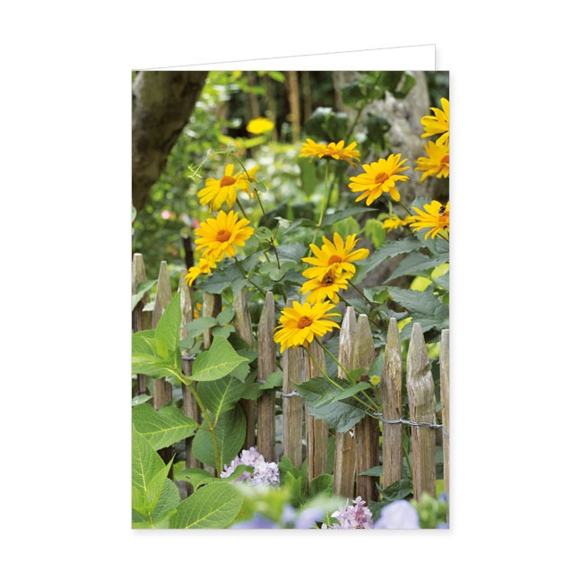 Doppelkarten Garten-Sonnenauge- Rannenberg & Friends - Doppelkarte Klappkarte mit Umschlag Maße: